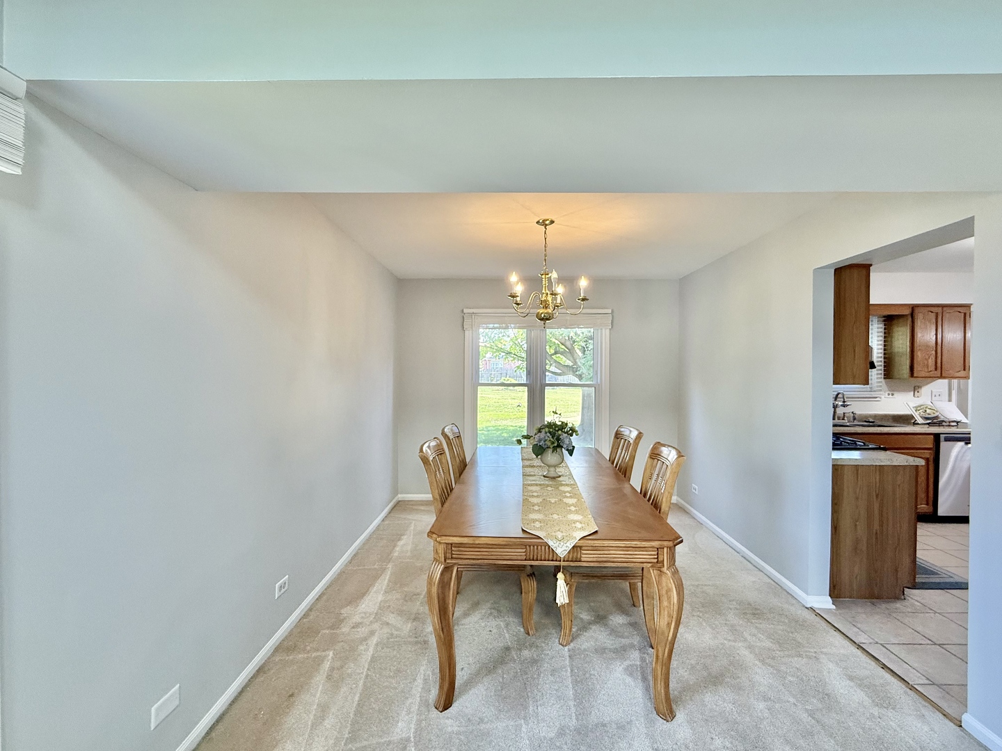 1582 Hinterlong Lane, Naperville, IL 60563