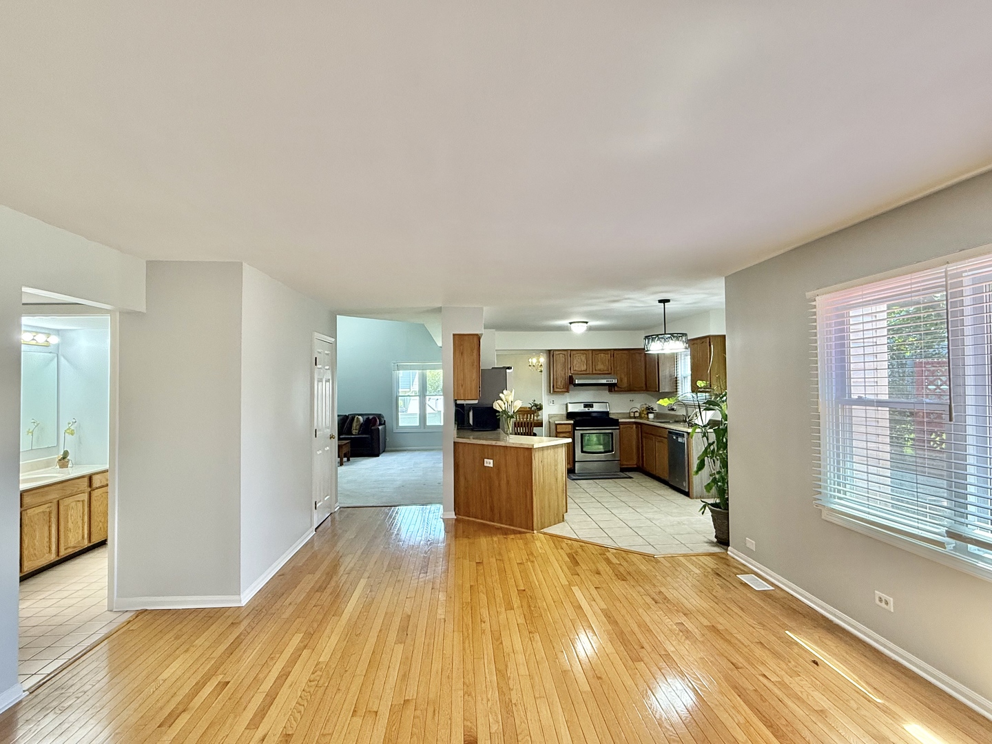 1582 Hinterlong Lane, Naperville, IL 60563