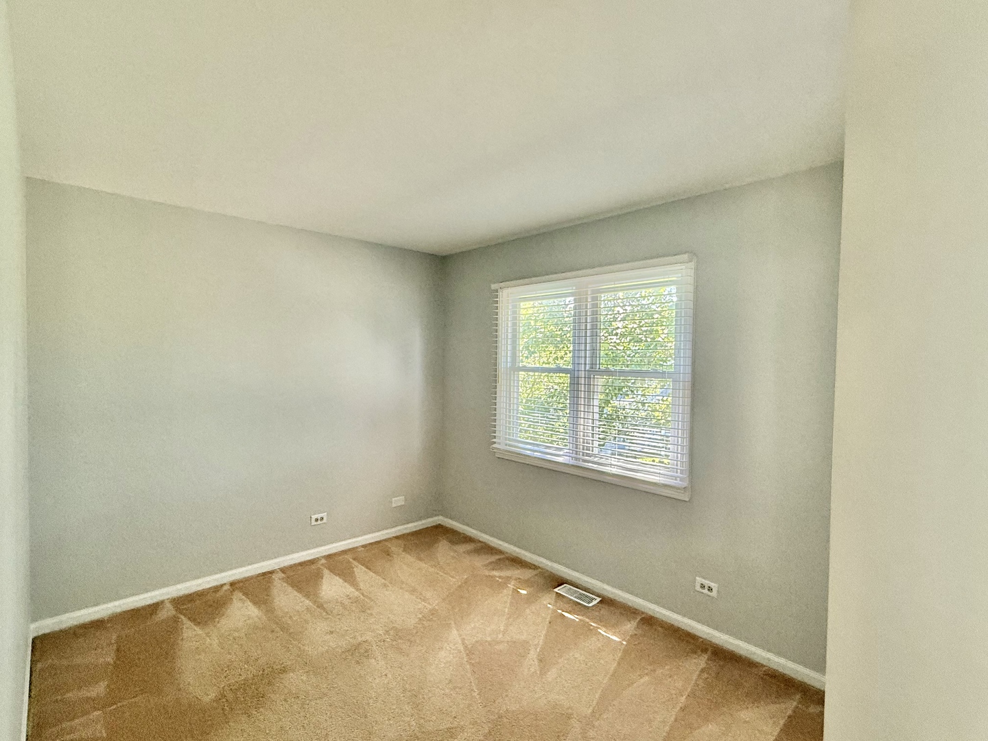 1582 Hinterlong Lane, Naperville, IL 60563