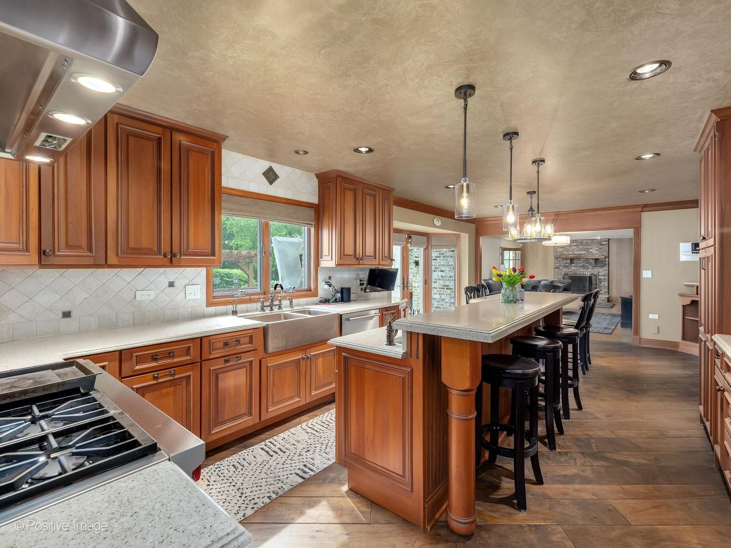6451 Garfield Ridge Court, Burr Ridge, IL 60527