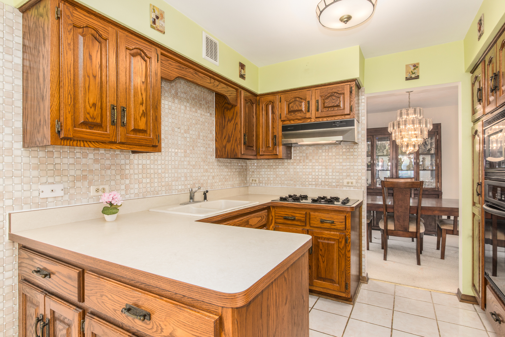 8744 W North Terrace, Niles, IL 60714