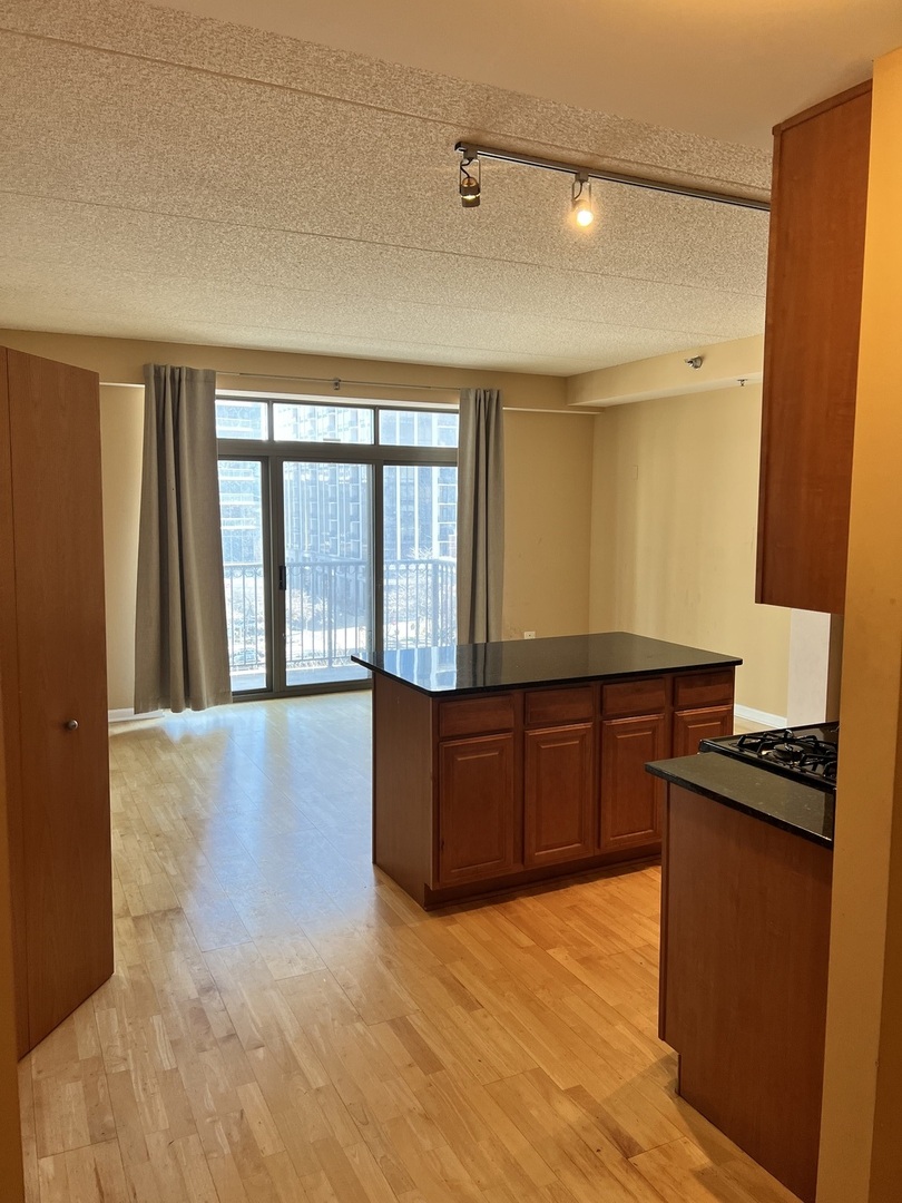 1250 S INDIANA Avenue #605, Chicago, IL 60605