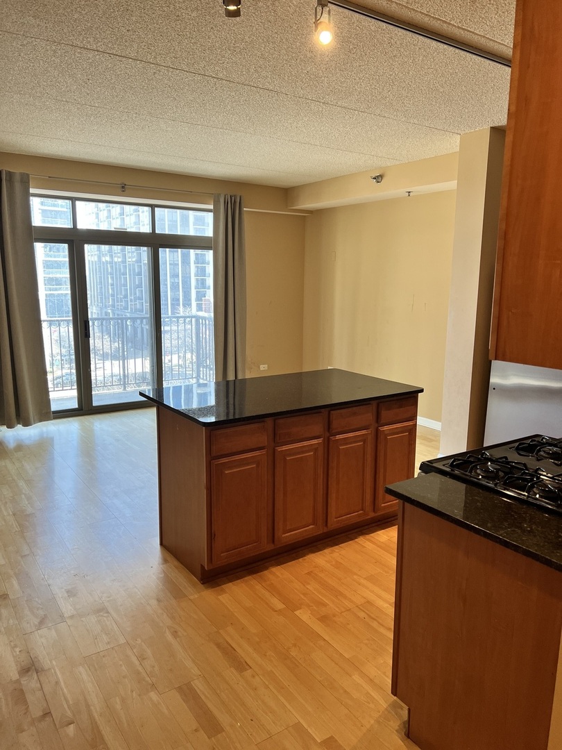 1250 S INDIANA Avenue #605, Chicago, IL 60605