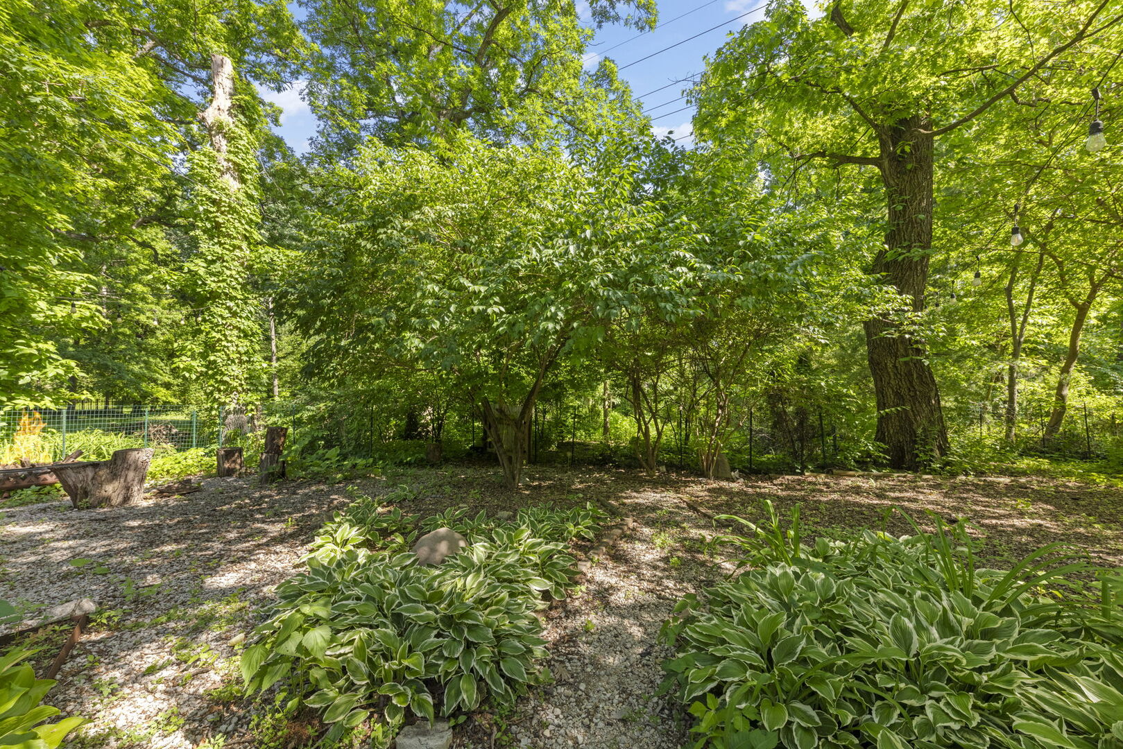 21W363 Walnut Road, Glen Ellyn, IL 60137