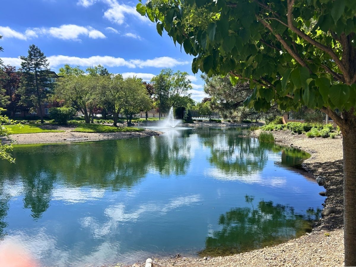 1206 New Wilke Road #206, Arlington Heights, IL 60005
