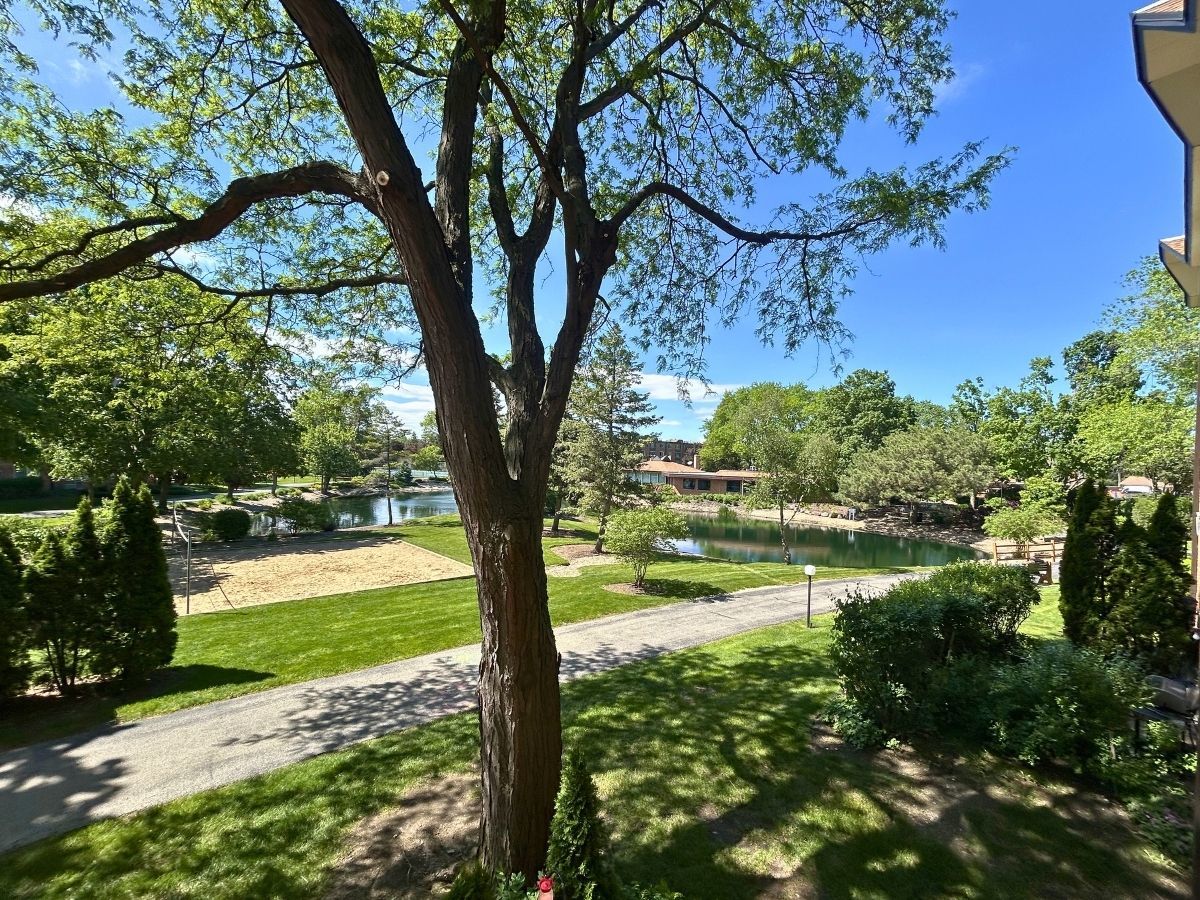 1206 New Wilke Road #206, Arlington Heights, IL 60005