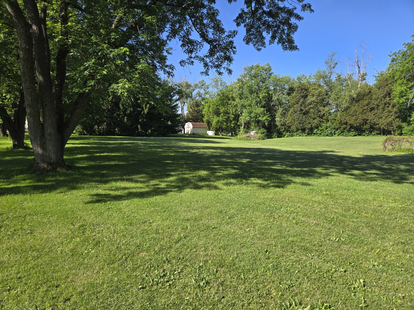 187 E Francis Road, New Lenox, IL 60451