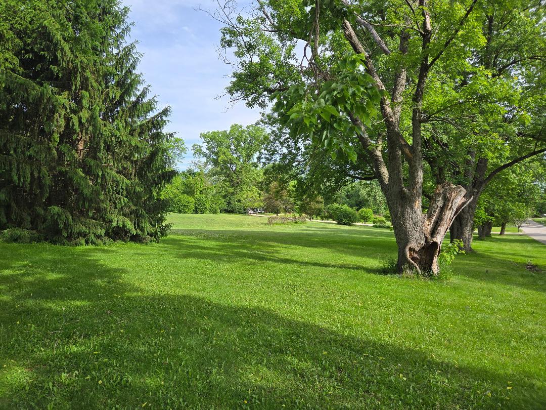 187 E Francis Road, New Lenox, IL 60451