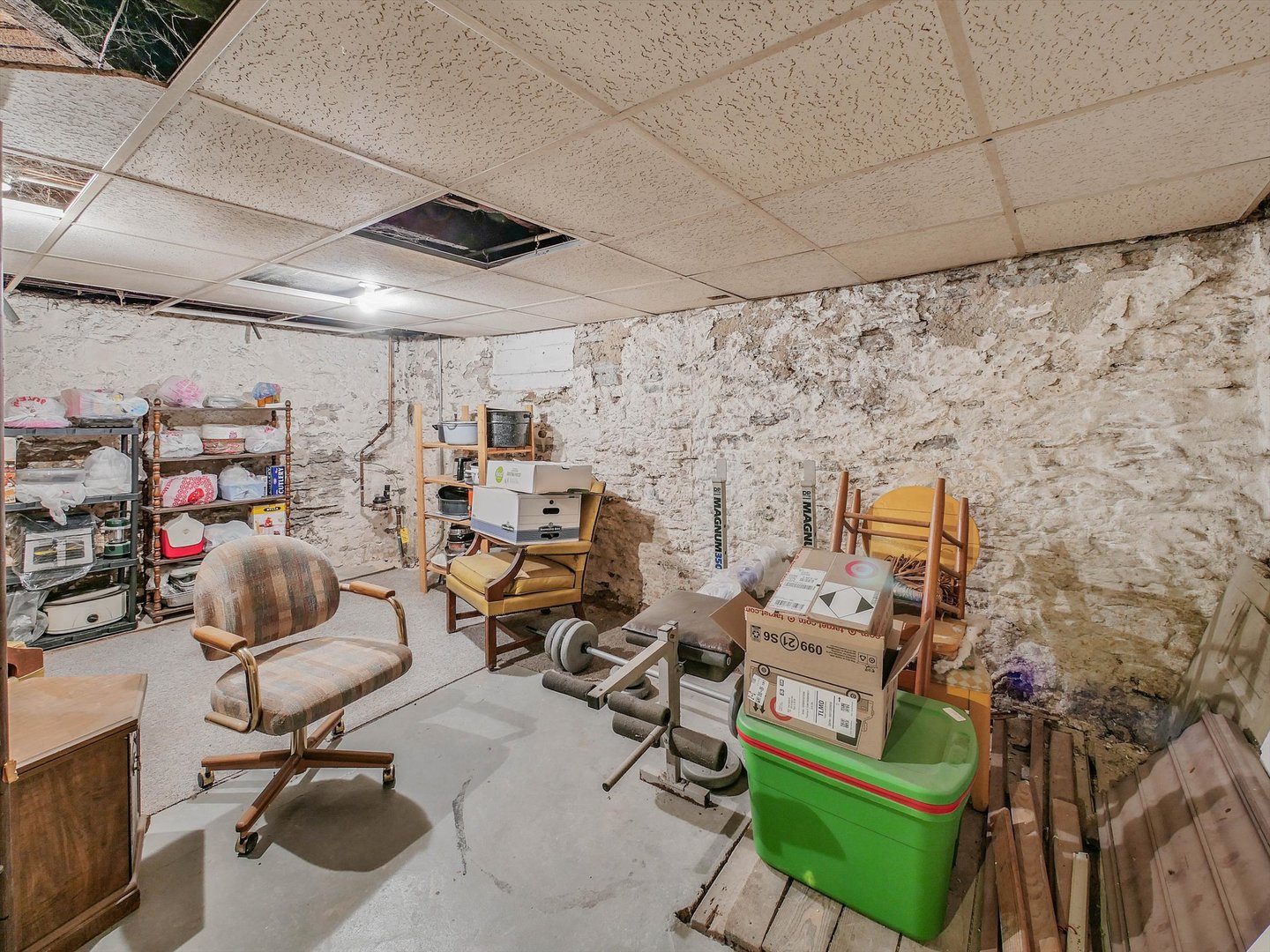 433 Arlington Avenue, Elgin, IL 60120