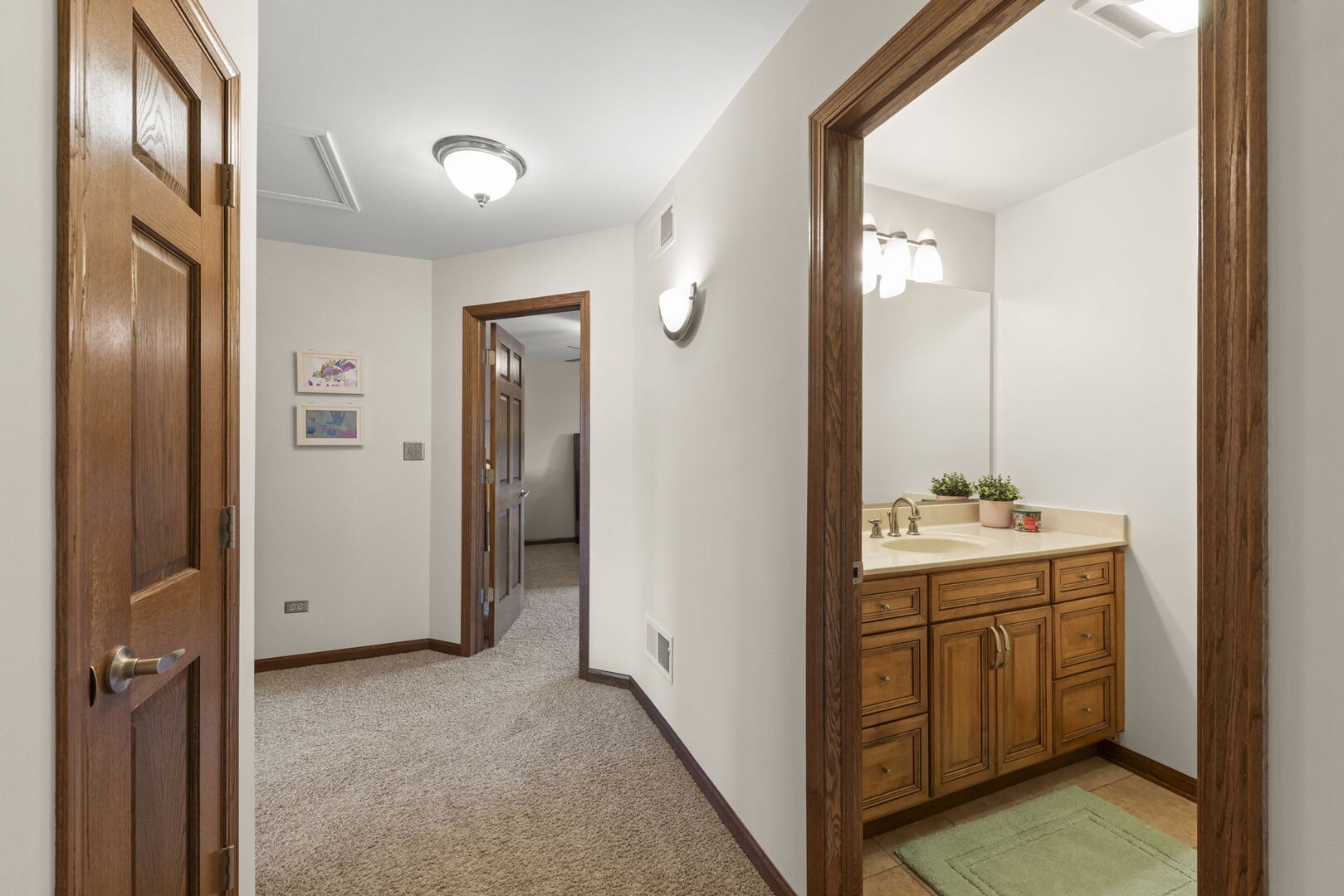 1825 Northbridge Place, Downers Grove, IL 60516