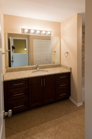 2927 White Thorn Circle #2927, Naperville, IL 60564