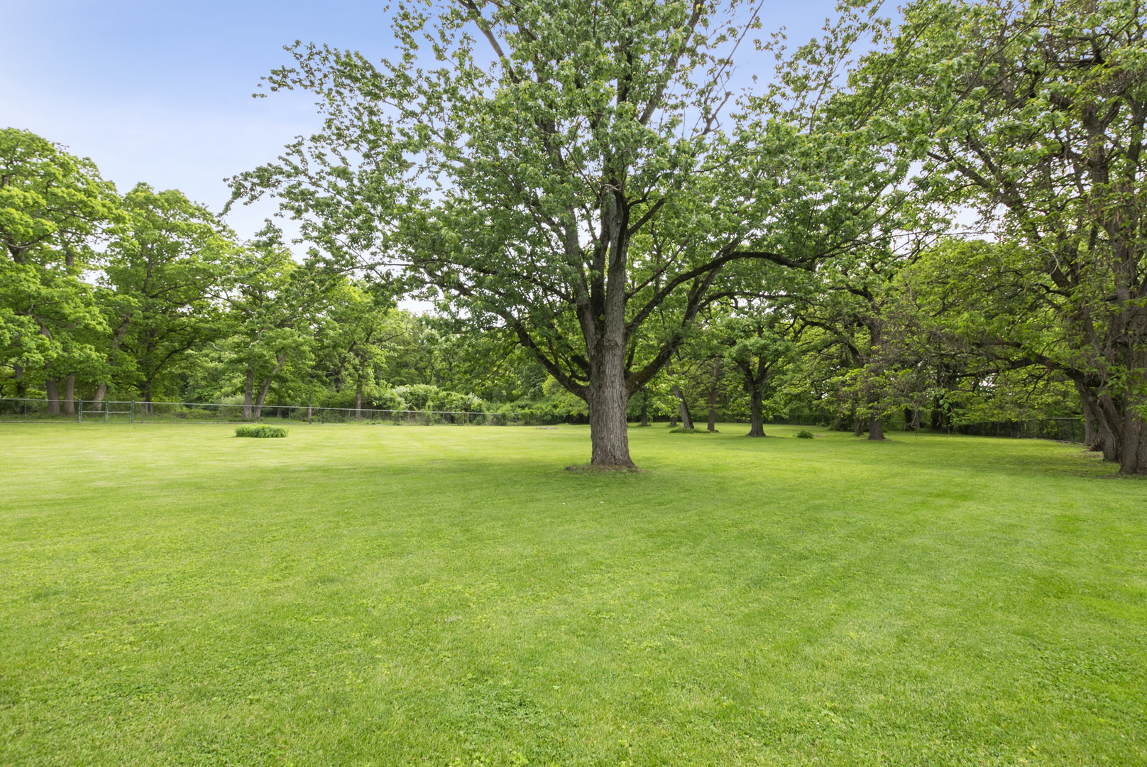1801 Richton Road, Steger, IL 60475