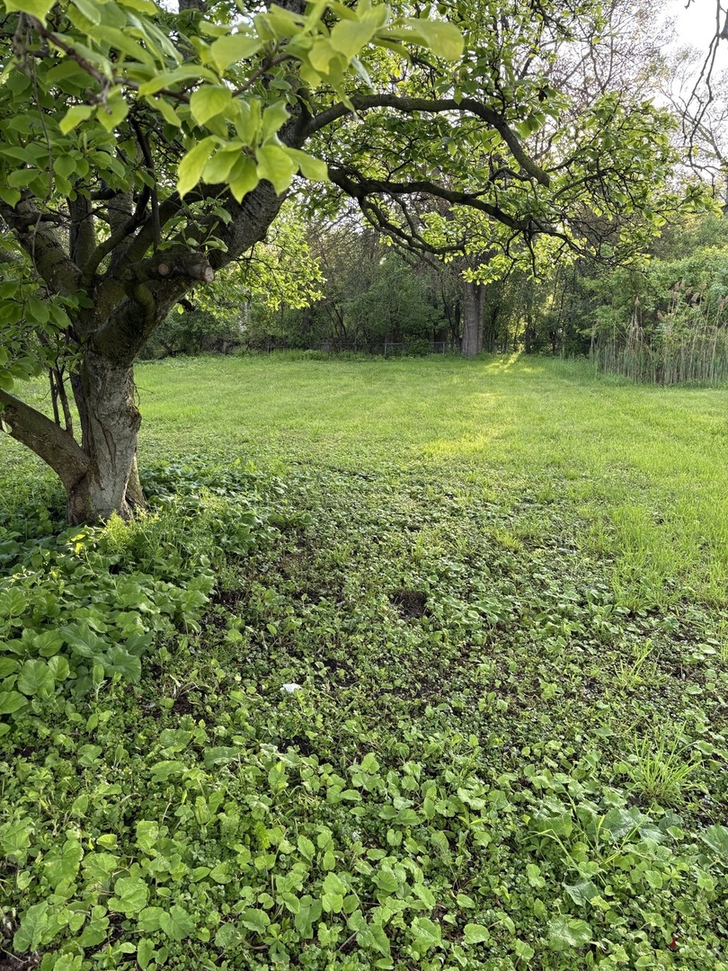 13526 S Kedzie Avenue, Robbins, IL 60472