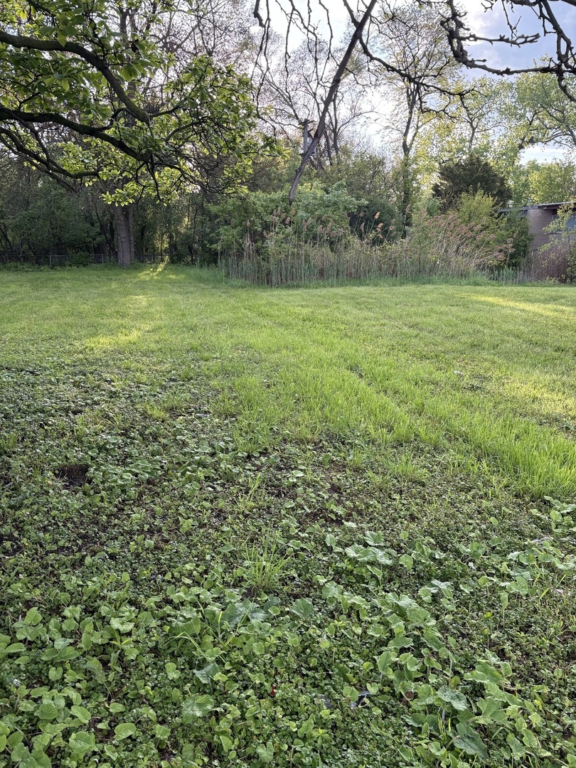 13526 S Kedzie Avenue, Robbins, IL 60472