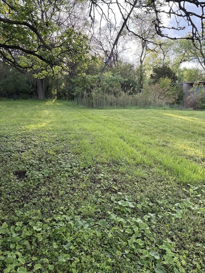 13526 S Kedzie Avenue, Robbins, IL 60472