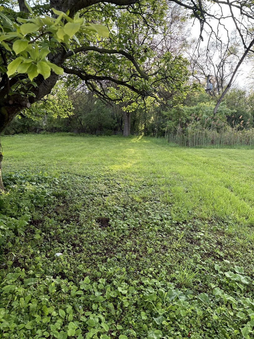 13526 S Kedzie Avenue, Robbins, IL 60472