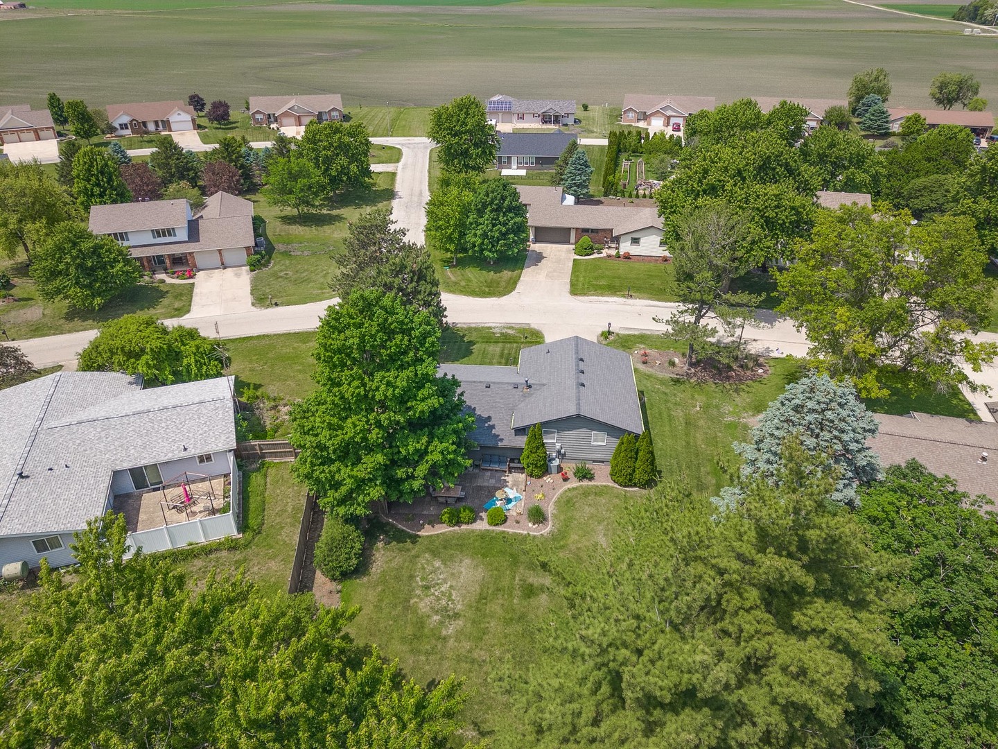 113 Boulder Drive, Gridley, IL 61744