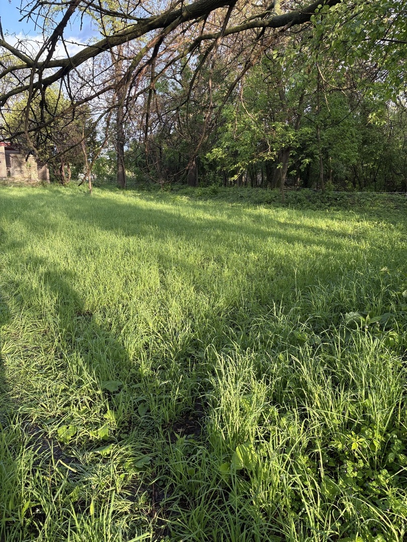 13523 S Sawyer Avenue, Robbins, IL 60472