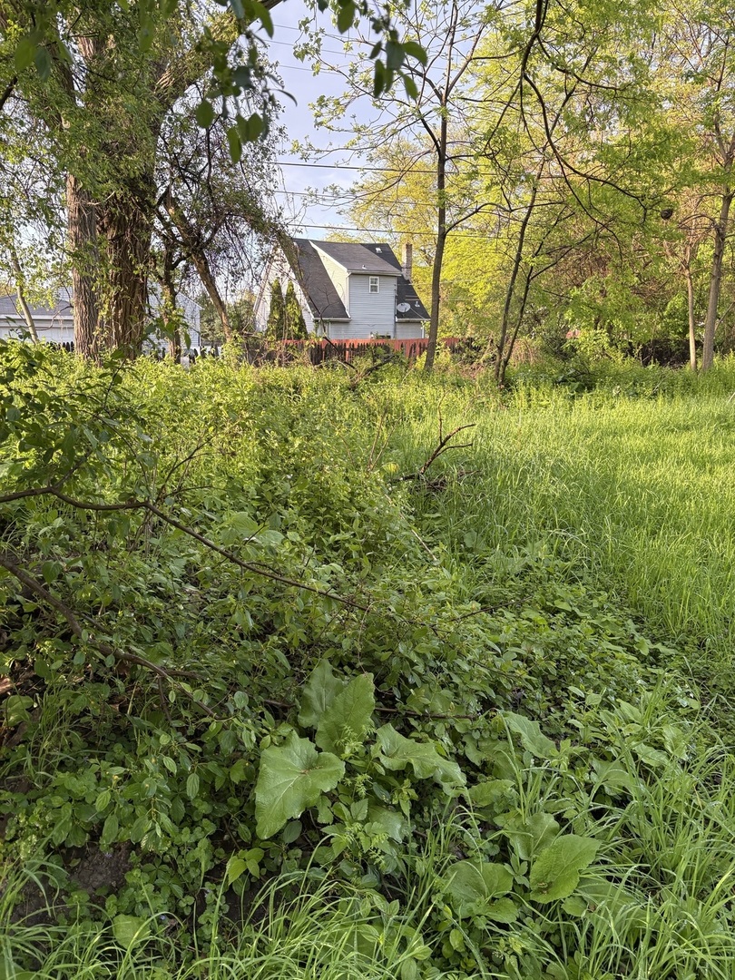 13523 S Sawyer Avenue, Robbins, IL 60472