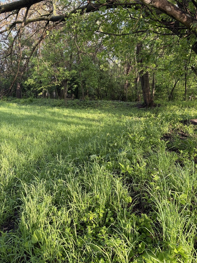 13523 S Sawyer Avenue, Robbins, IL 60472
