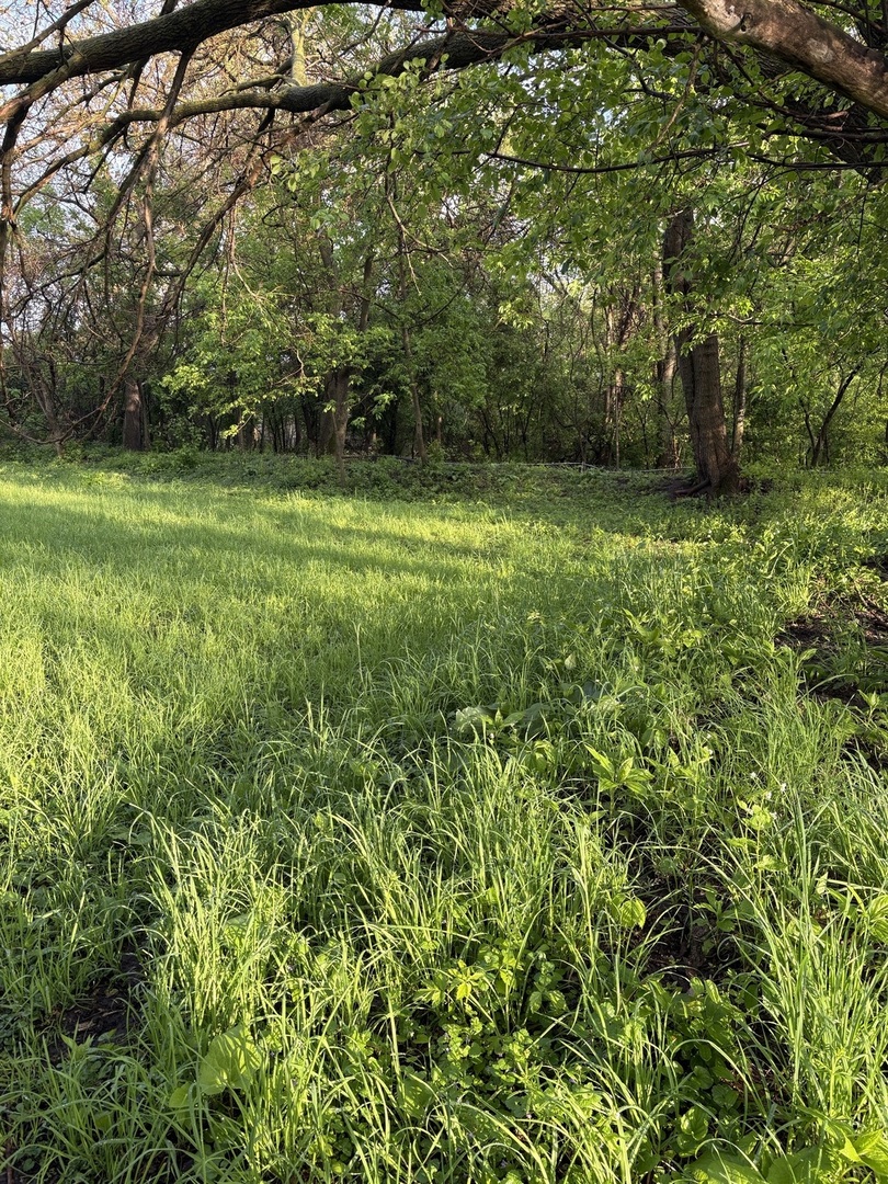 13523 S Sawyer Avenue, Robbins, IL 60472