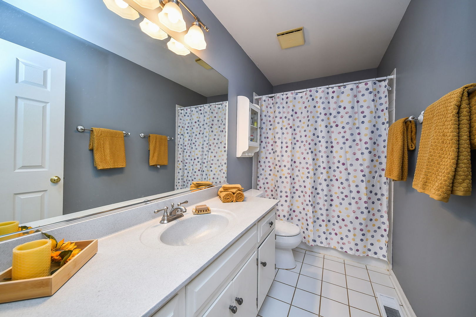 496 Waubonsee Circle, Oswego, IL 60543