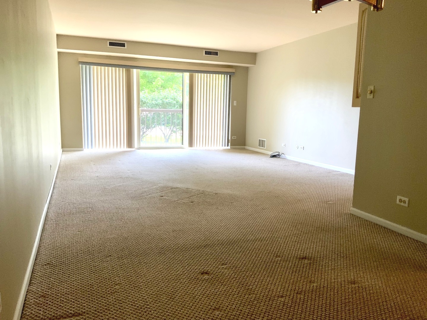 1103 N Mill Street #109, Naperville, IL 60563