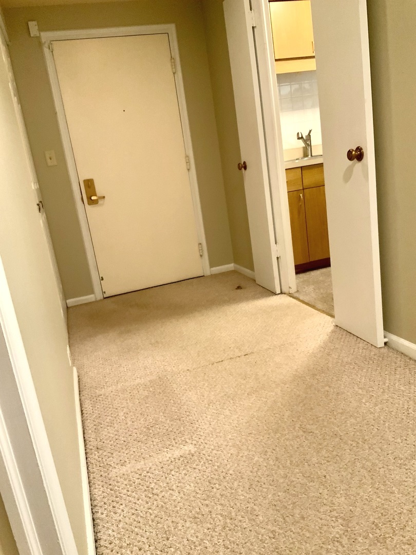 1103 N Mill Street #109, Naperville, IL 60563