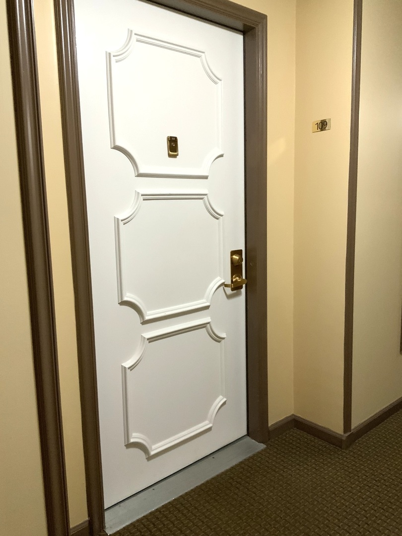1103 N Mill Street #109, Naperville, IL 60563