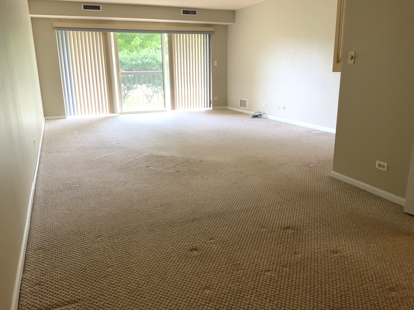 1103 N Mill Street #109, Naperville, IL 60563