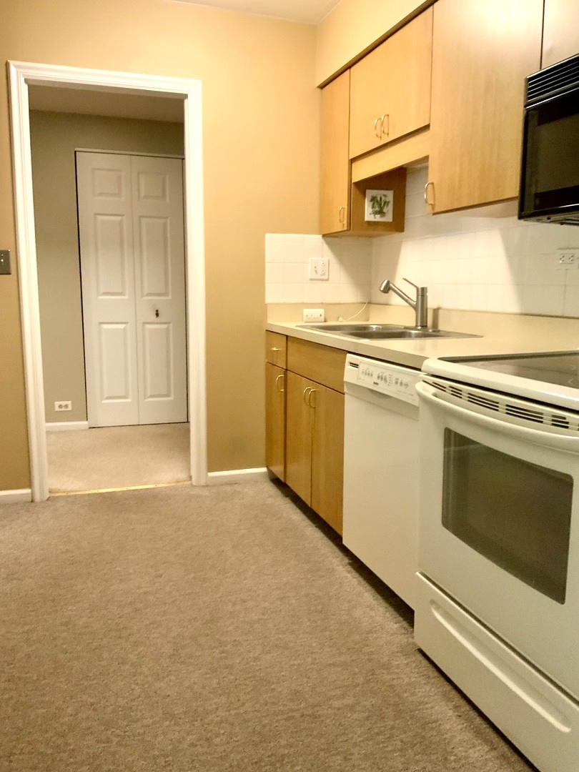 1103 N Mill Street #109, Naperville, IL 60563