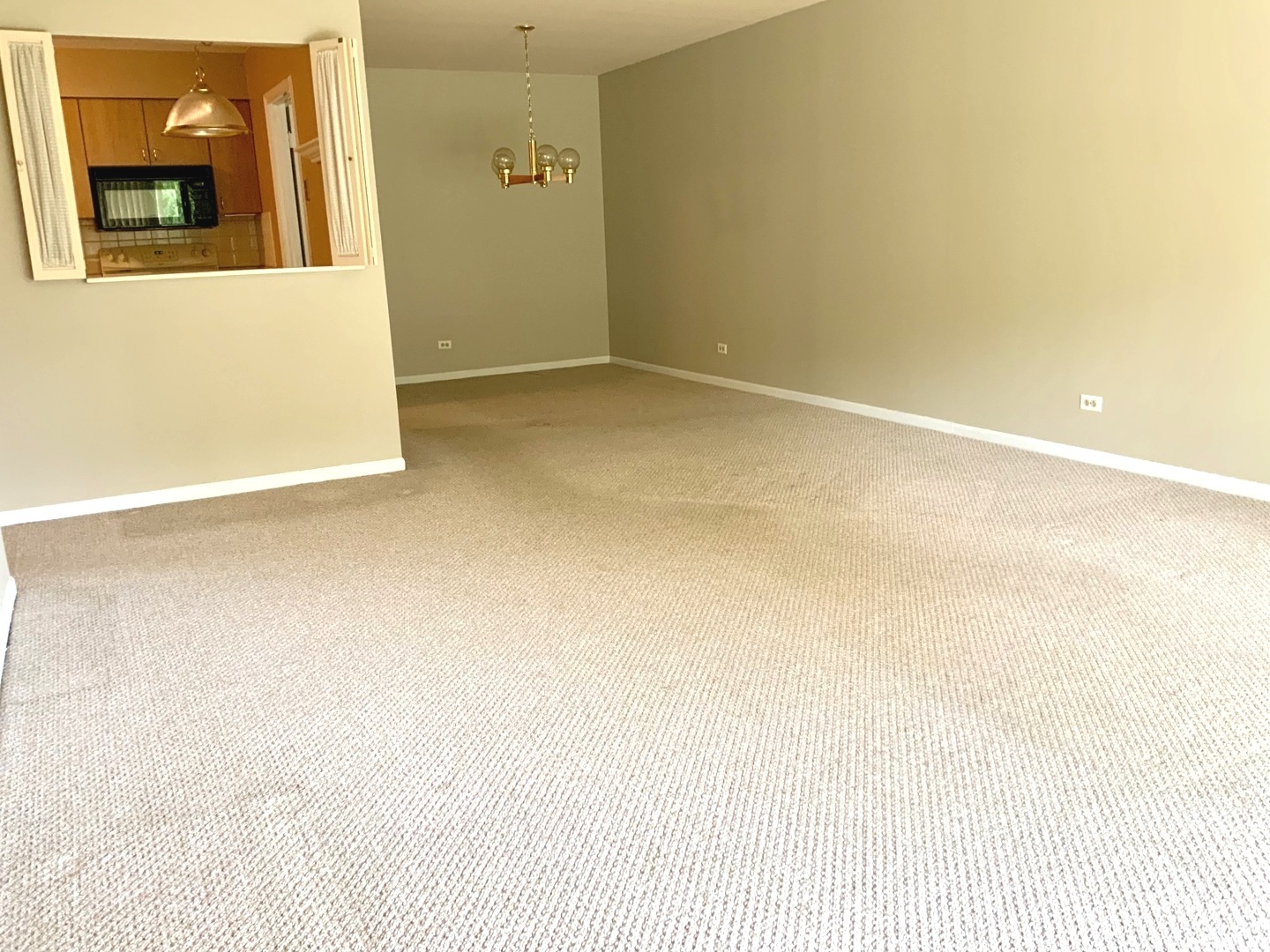 1103 N Mill Street #109, Naperville, IL 60563