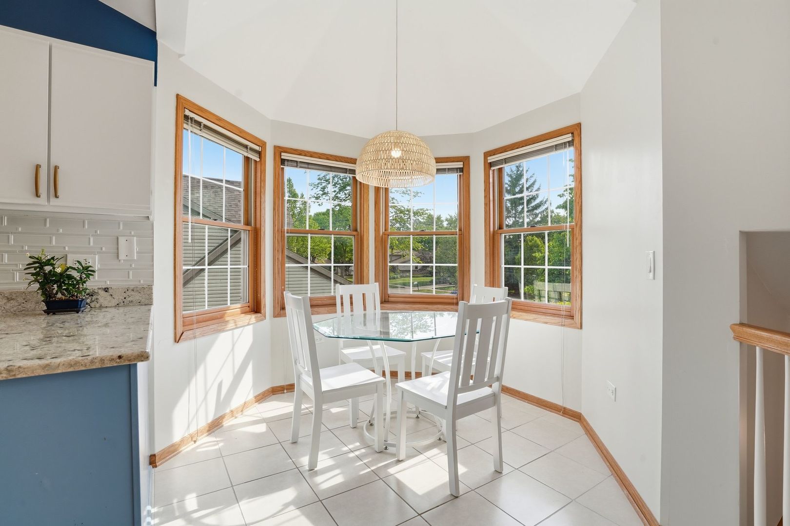 3255 N Daniels Court, Arlington Heights, IL 60004
