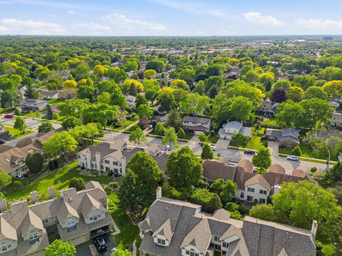 3255 N Daniels Court, Arlington Heights, IL 60004