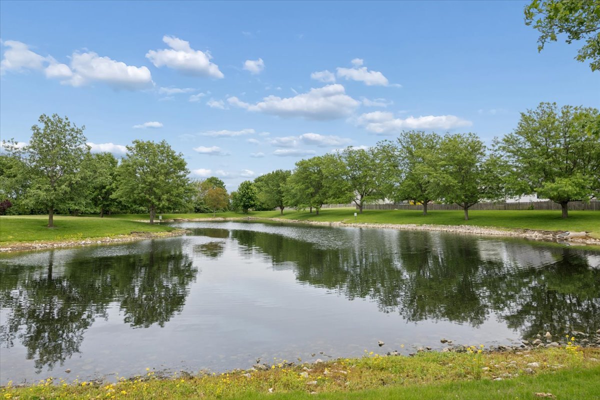 1305 Sommer Lane, Minooka, IL 60447