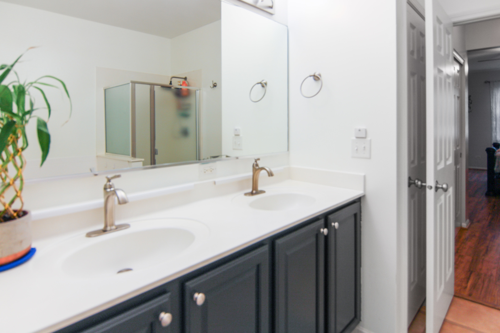 26111 W Timber Ridge Drive, Channahon, IL 60410