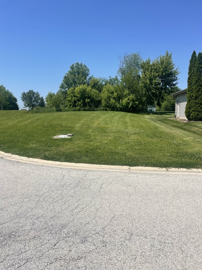 321 Pine Street, Beecher, IL 60401
