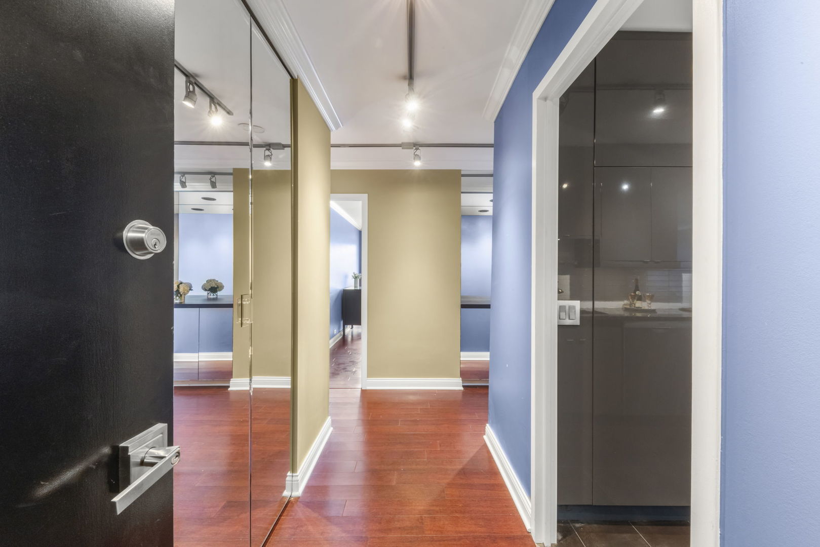 1555 N Sandburg Terrace #305K, Chicago, IL 60610