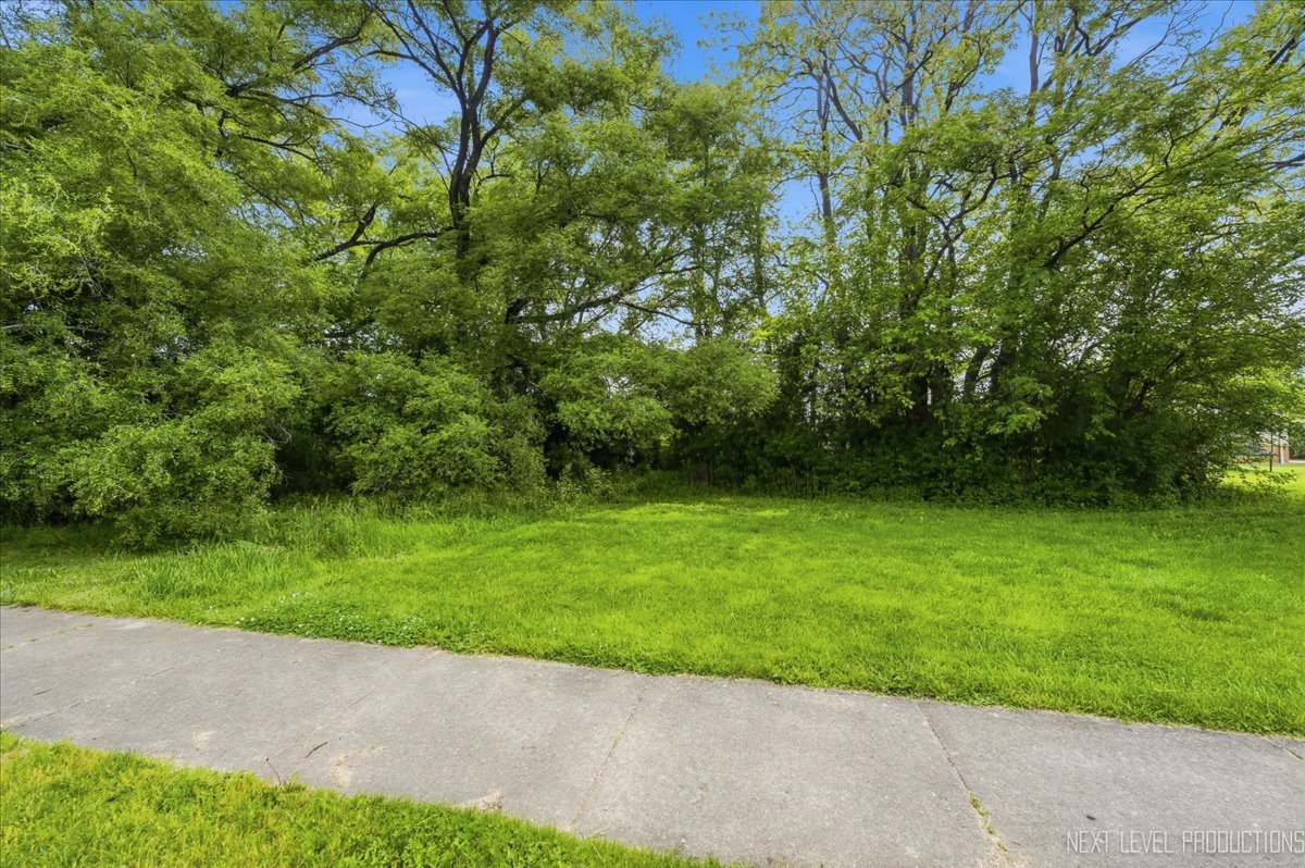 10155 Ivanhoe Avenue, Schiller Park, IL 60176