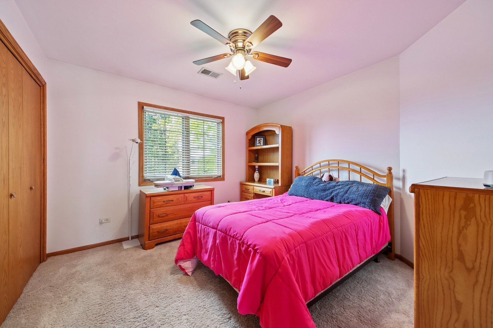 14100 W Anne K Drive, Homer Glen, IL 60491