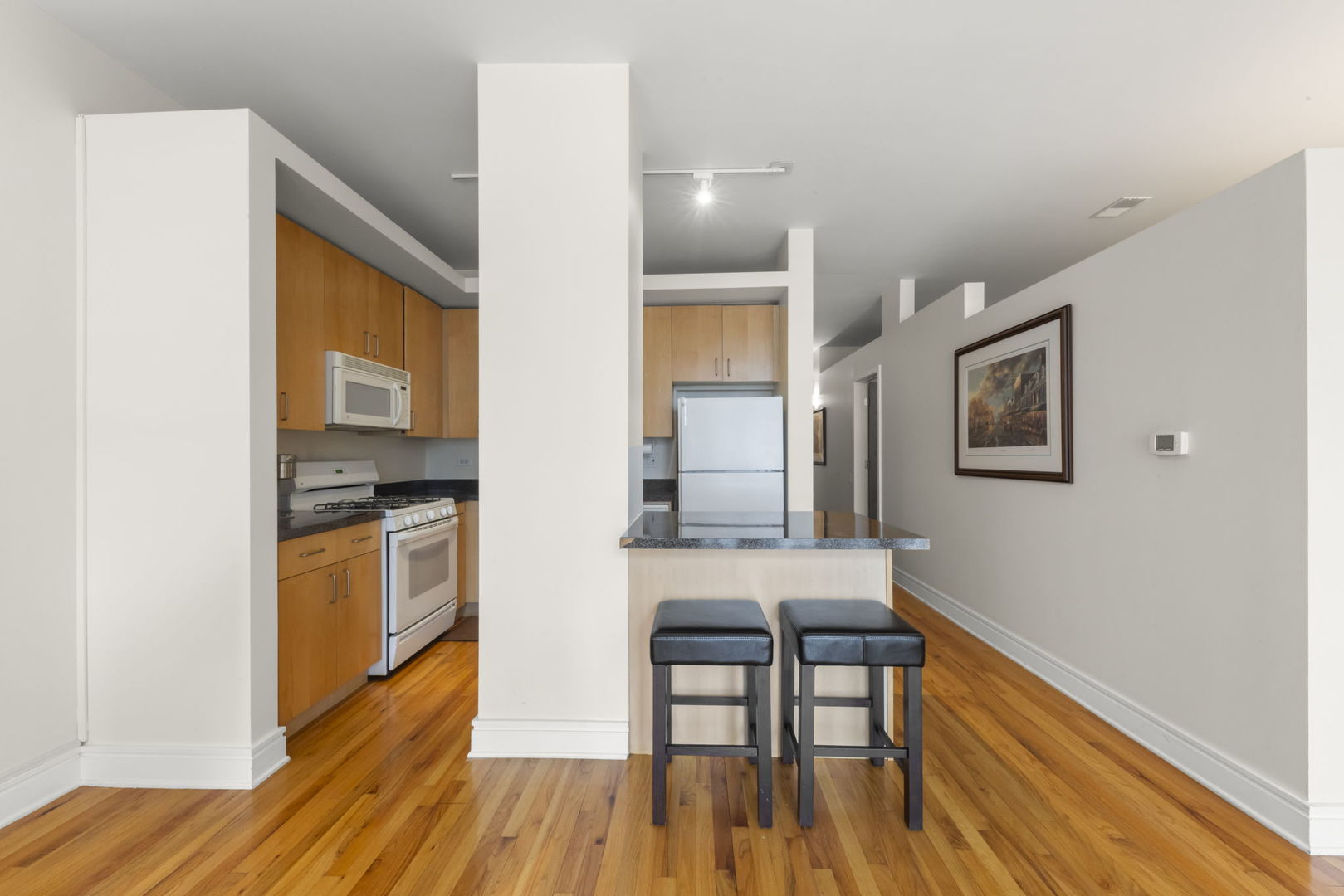 212 W Washington Avenue #1508, Chicago, IL 60606