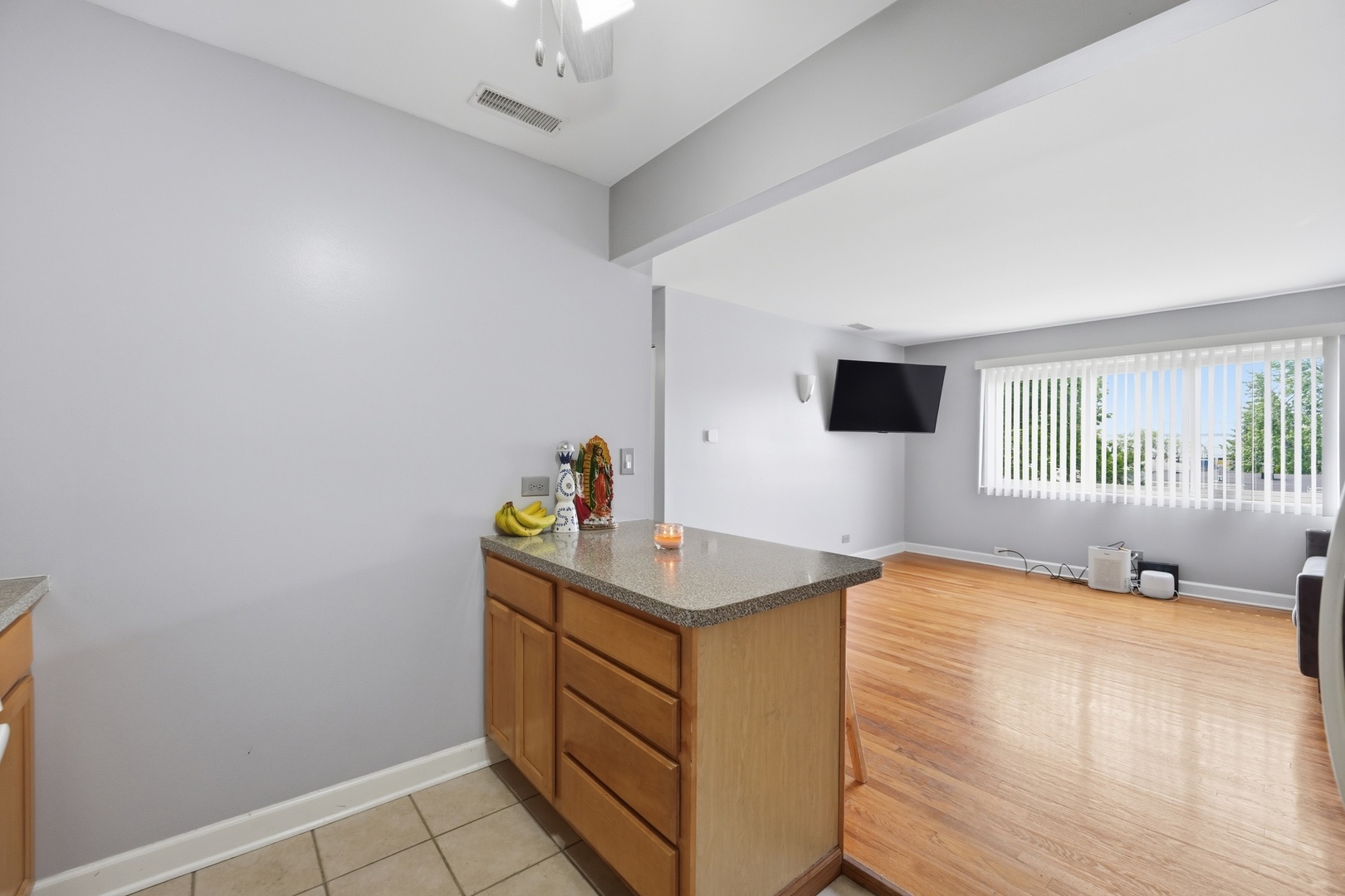 3846 25th Avenue #6, Schiller Park, IL 60176