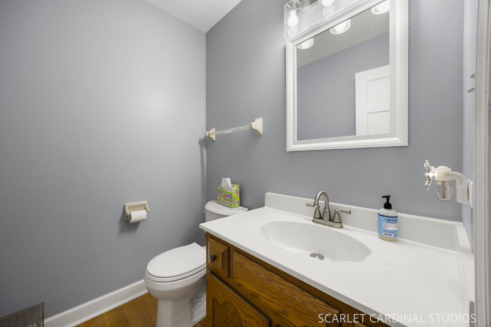 6076 Angel Lane, Lisle, IL 60532