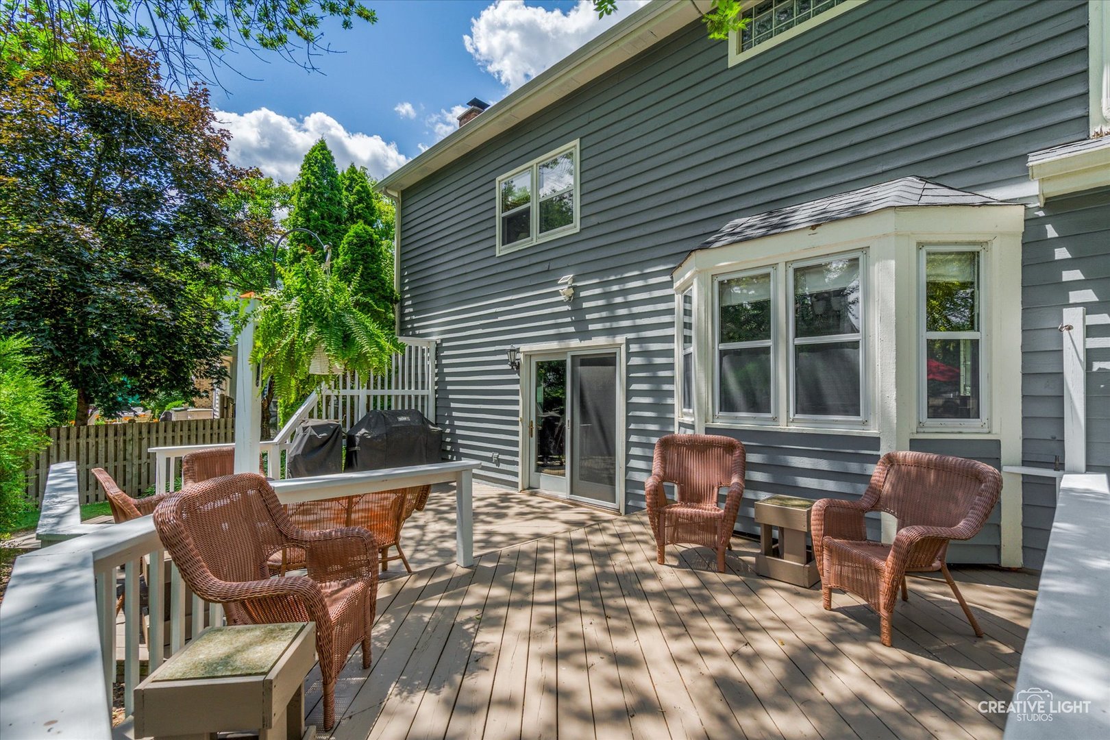 1234 Oakton Lane, Naperville, IL 60540