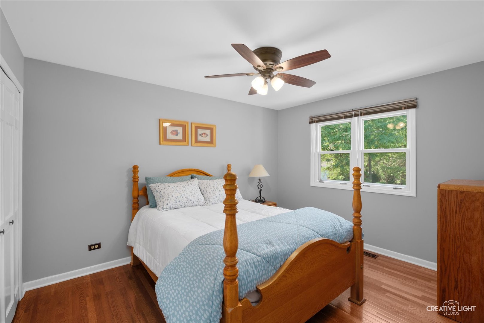 1234 Oakton Lane, Naperville, IL 60540