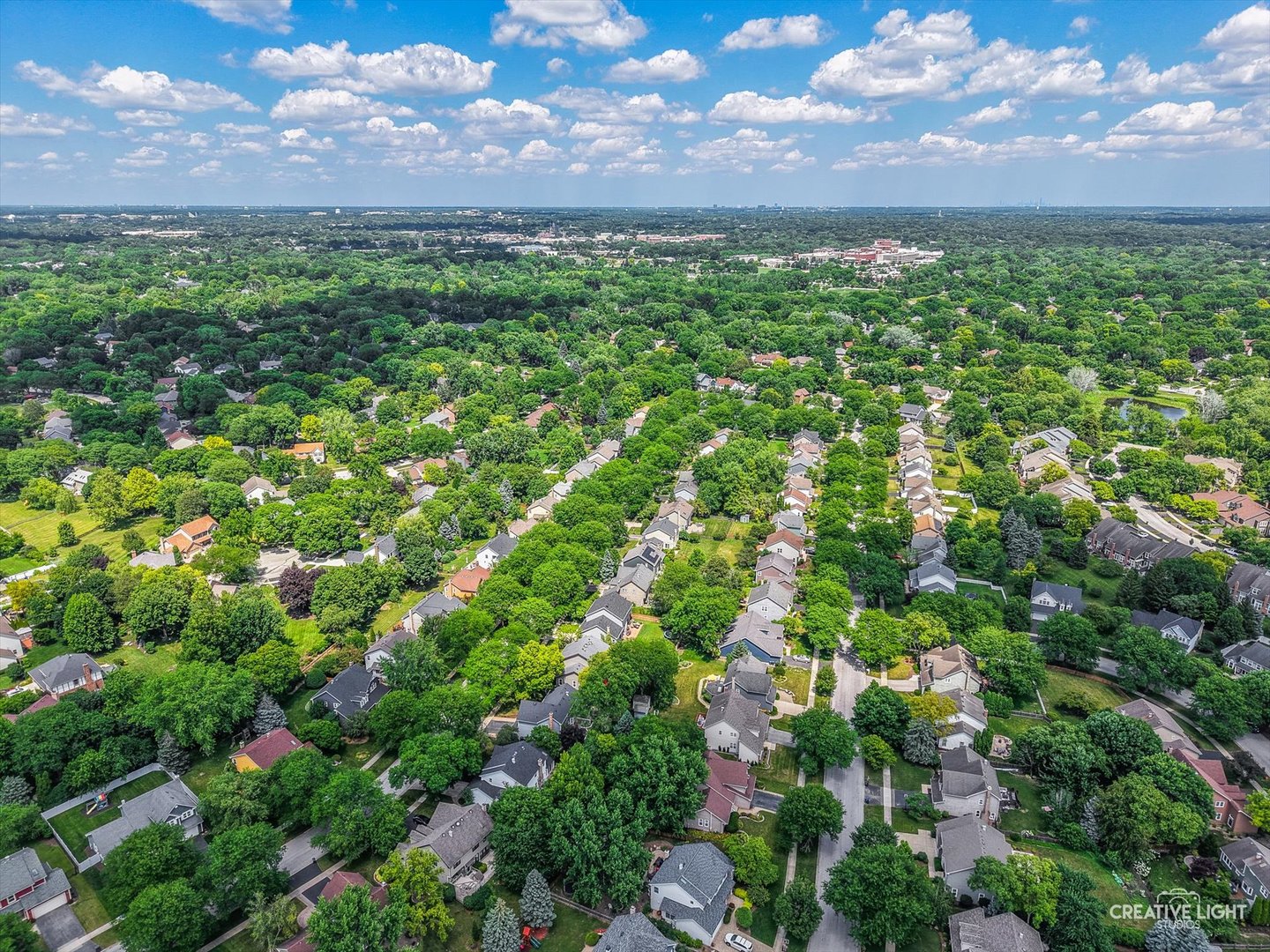 1234 Oakton Lane, Naperville, IL 60540