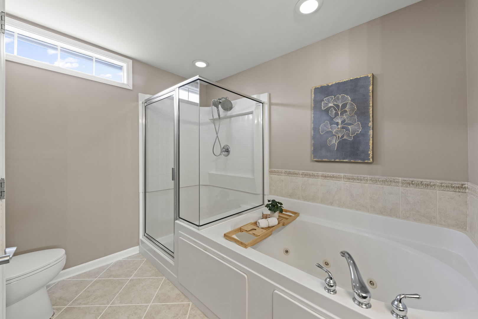 928 Shandrew Drive #928, Naperville, IL 60540