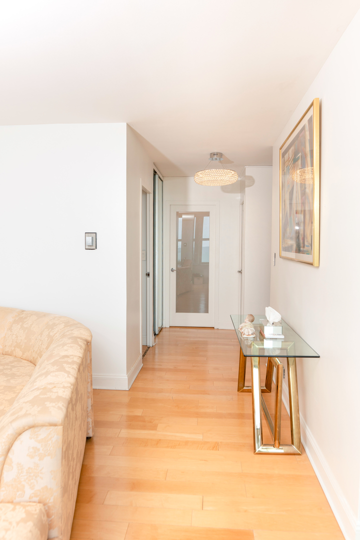 1000 N Lake Shore Drive #809, Chicago, IL 60611