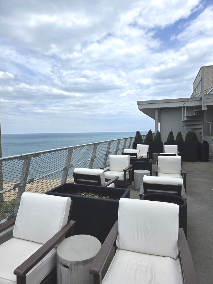 1000 N Lake Shore Drive #809, Chicago, IL 60611