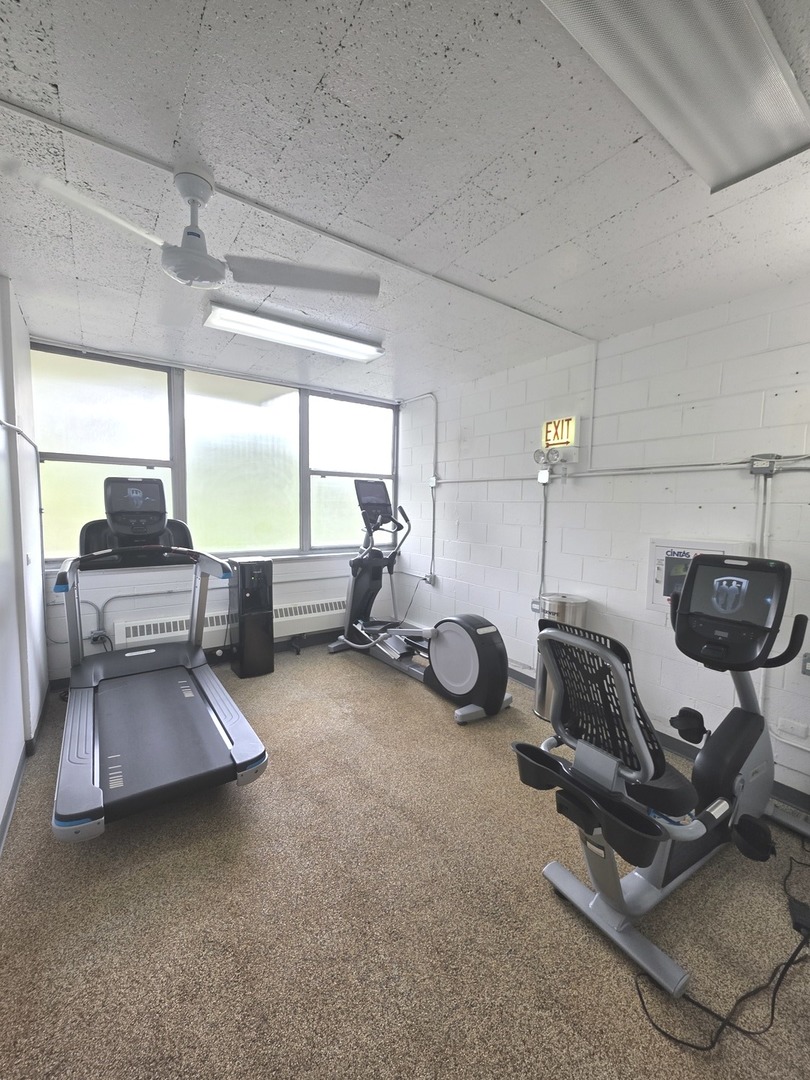 1000 N Lake Shore Drive #809, Chicago, IL 60611